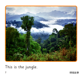 In the Jungle绘本故事第3页