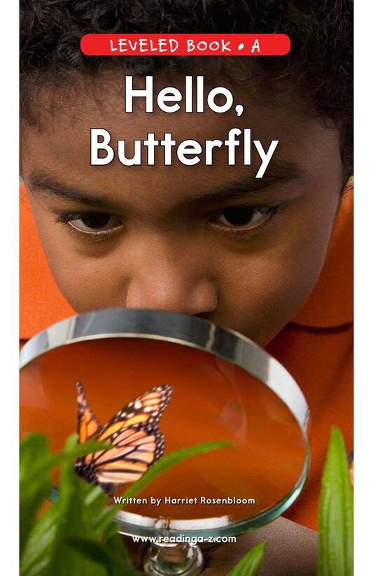 Hello,Butterfly绘本故事第2页