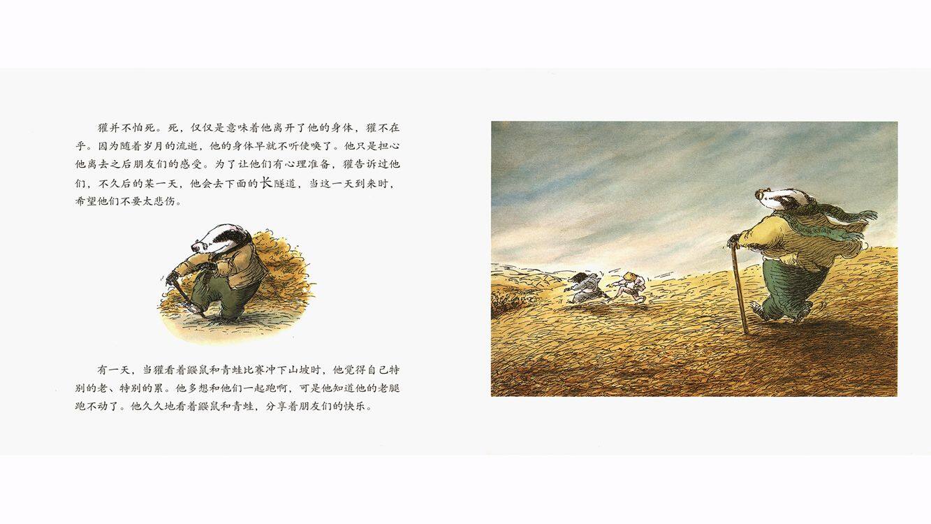 獾的礼物绘本故事第4页