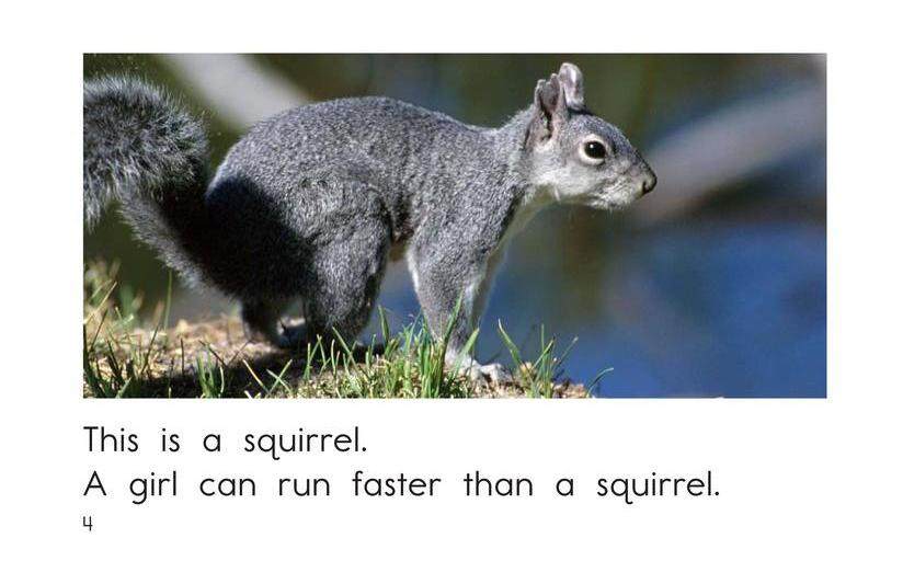 Who Runs Faster绘本故事第4页