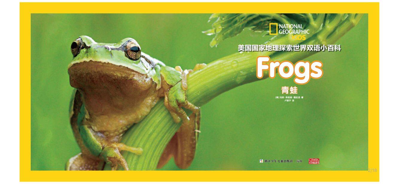青蛙绘本故事第2页