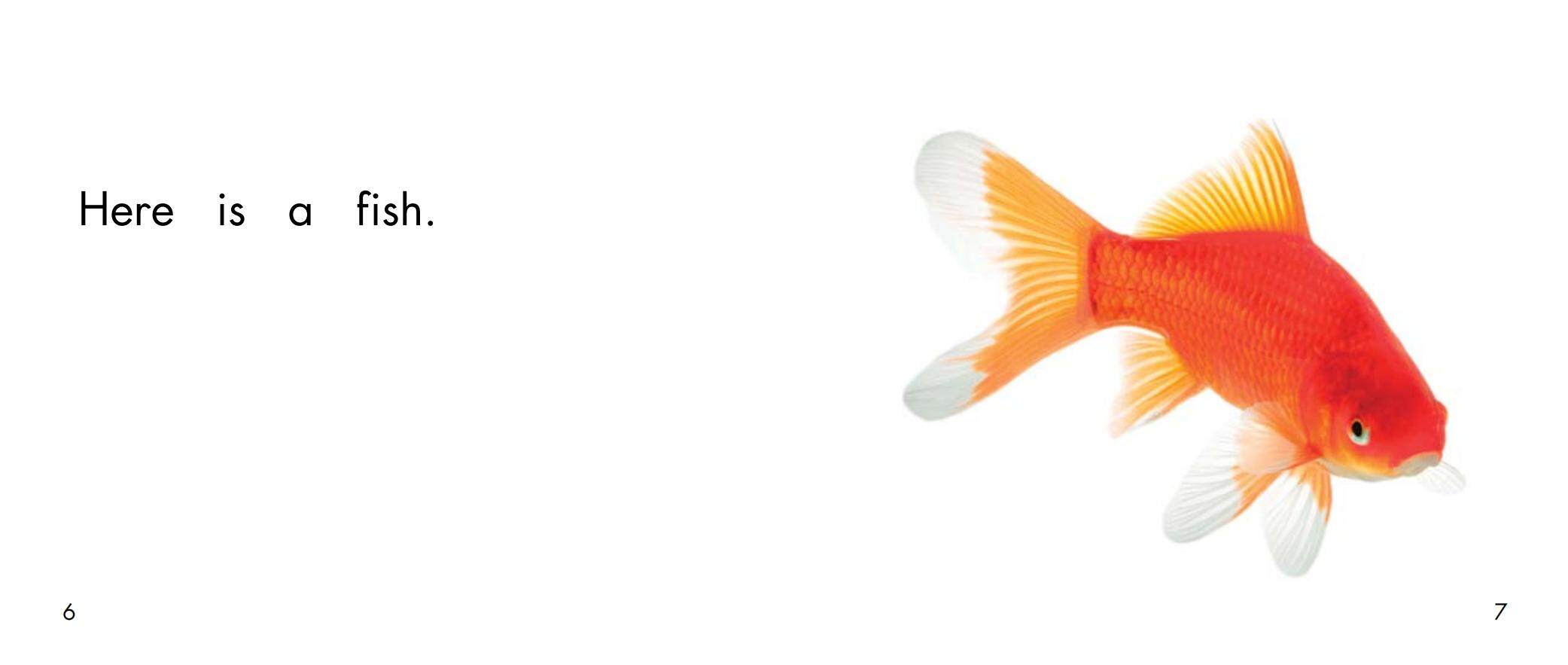 The pet store绘本故事第5页