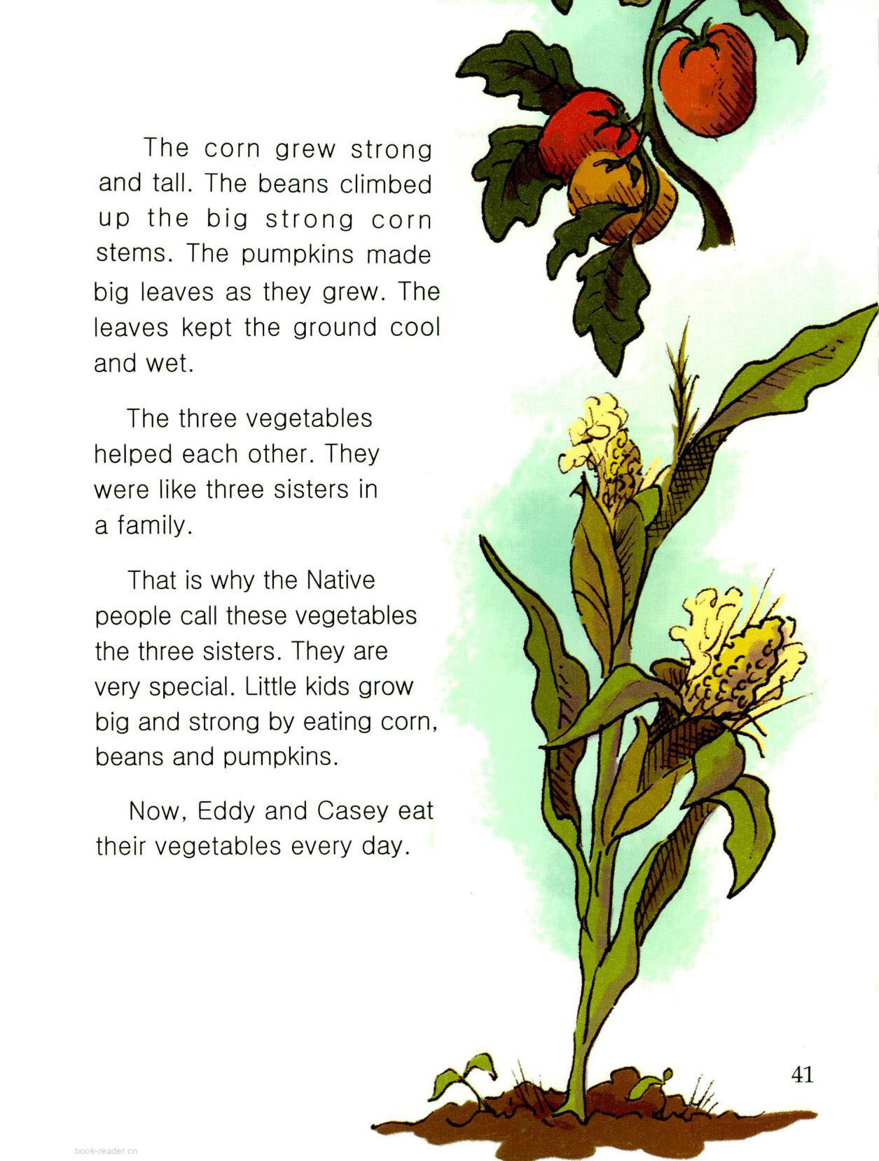 The Three Sisters绘本故事第3页