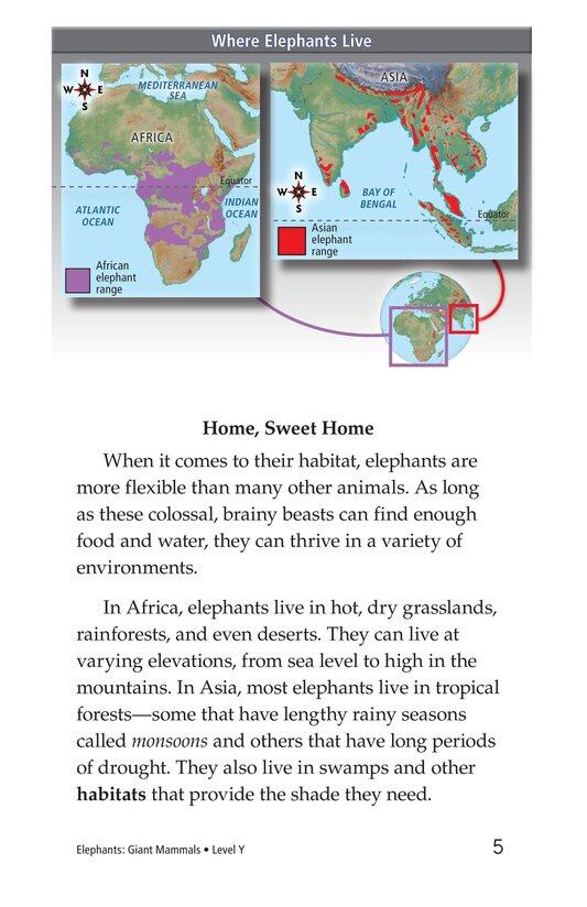 Elephants Giant Mammals绘本故事第4页