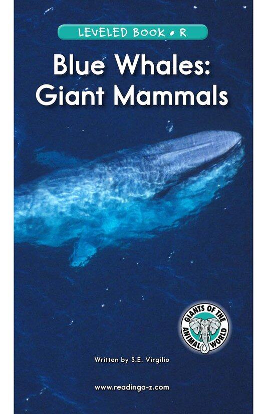 Blue Whales Giant Mammals绘本故事第2页