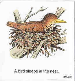 Sleeping Animals绘本故事第5页