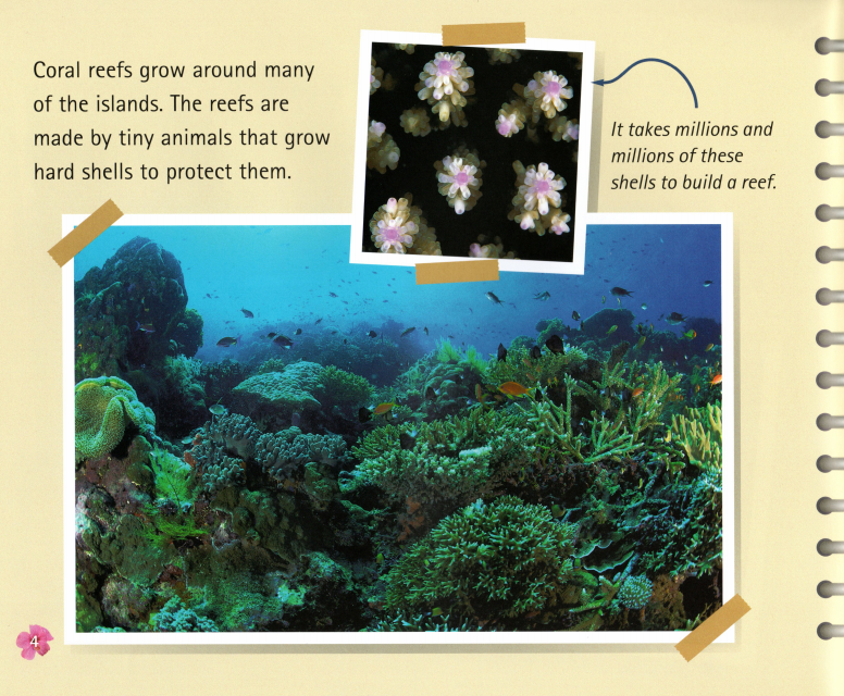 Pacific Island Scrapbook绘本故事第5页