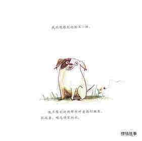 小狗哪会跳芭蕾绘本故事第2页