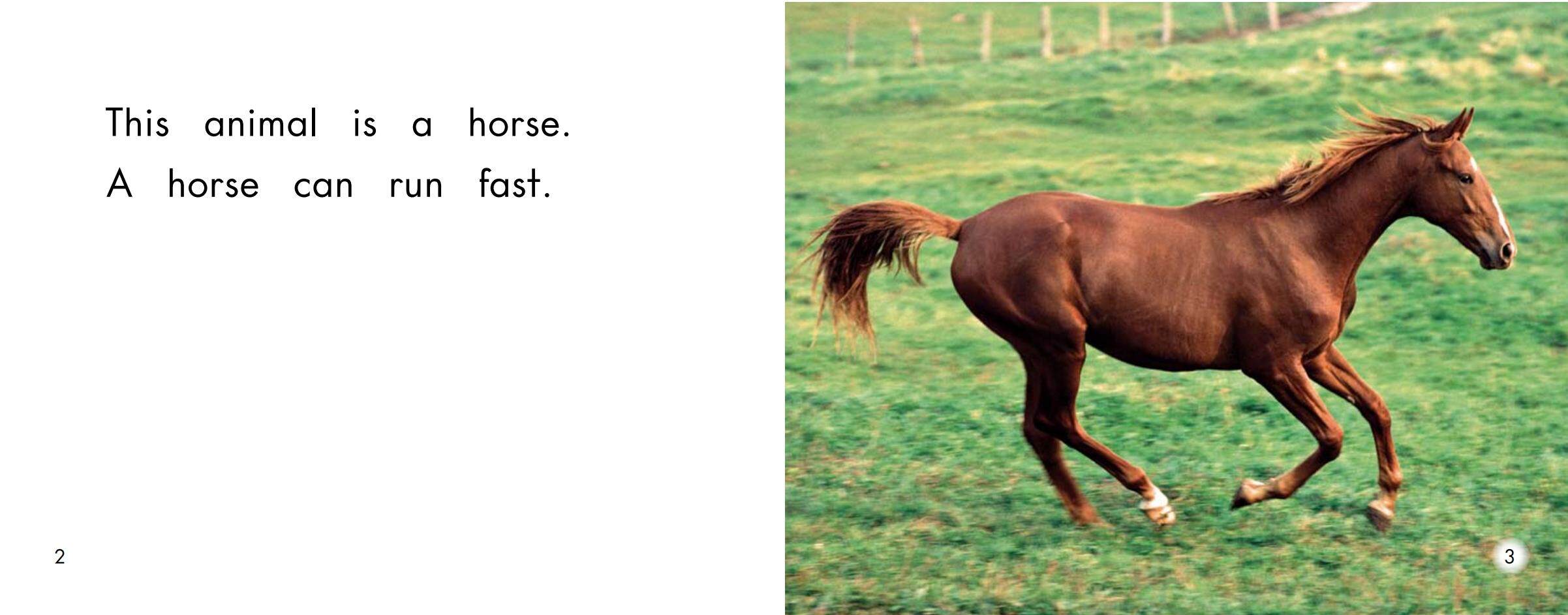 Animals that go fast绘本故事第3页