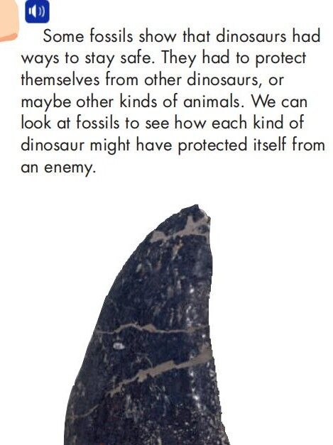 Dinosaur Detectives绘本故事第4页