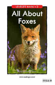 All About Foxes