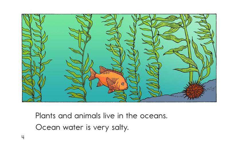 Places Plants and Animals Live绘本故事第4页