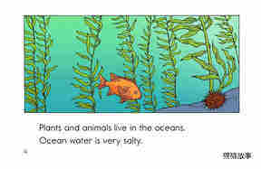 Places Plants and Animals Live绘本故事第4页
