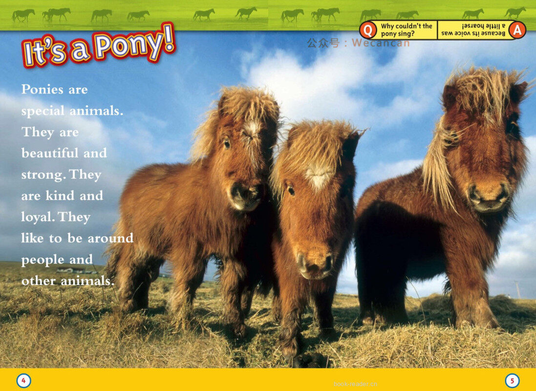 Ponies绘本故事第3页
