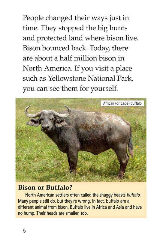 Bison Came Back绘本故事第5页