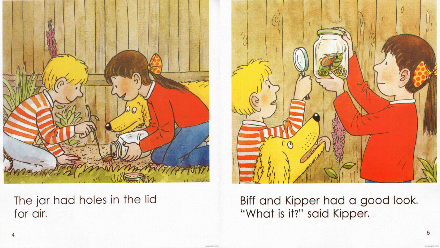 Bug Hunt绘本故事第5页