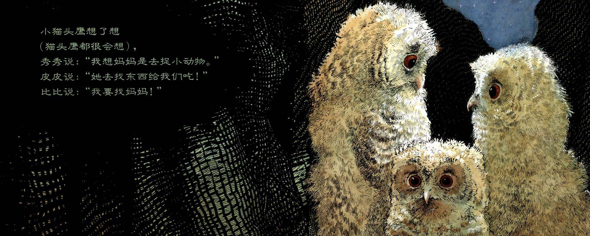 小猫头鹰绘本故事第4页
