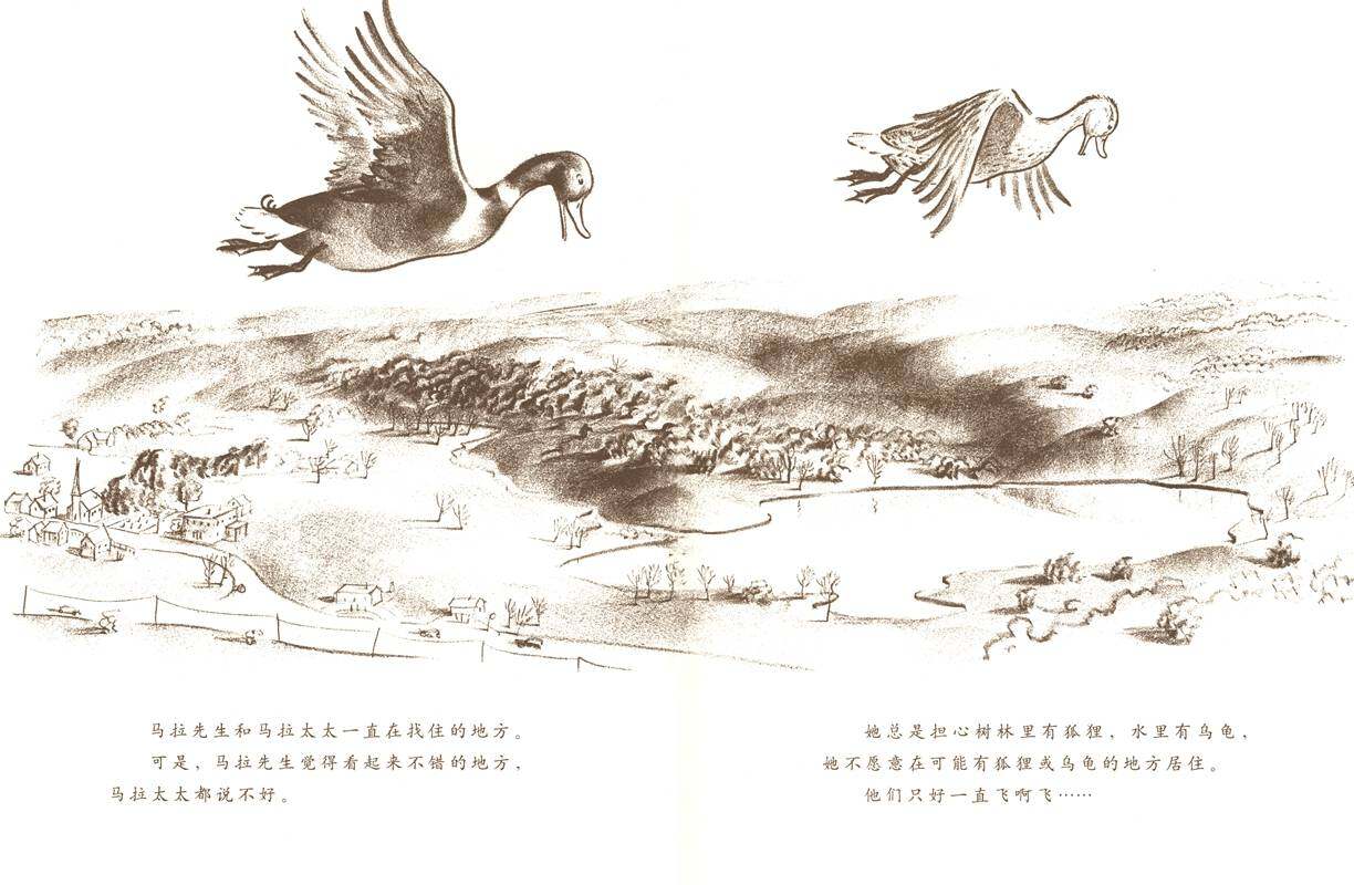 让路给小鸭子绘本故事第2页