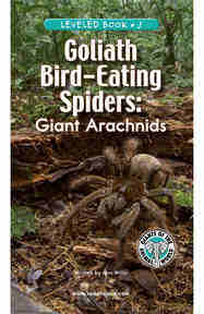 Goliath Bird-Eating Spiders Giant Arachnids