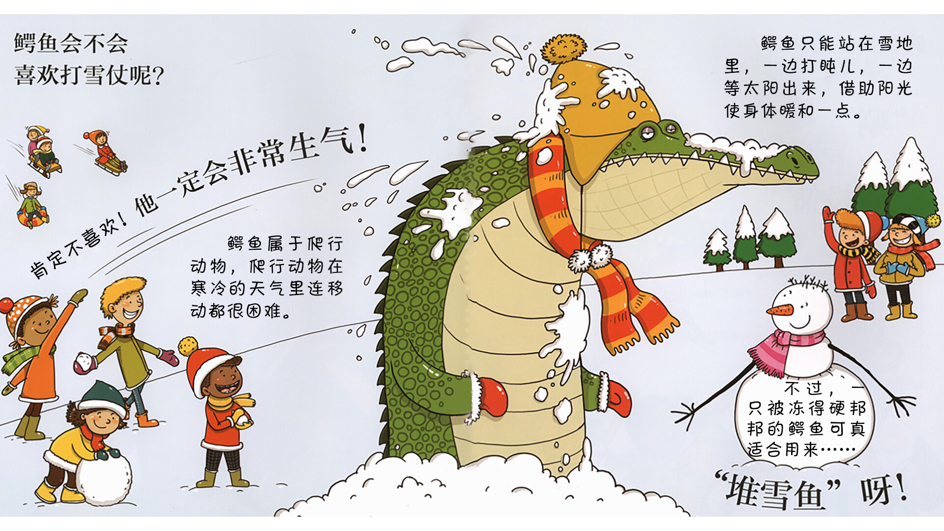 鳄鱼会打篮球吗？绘本故事第5页