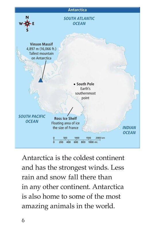 Amazing Antarctica绘本故事第5页