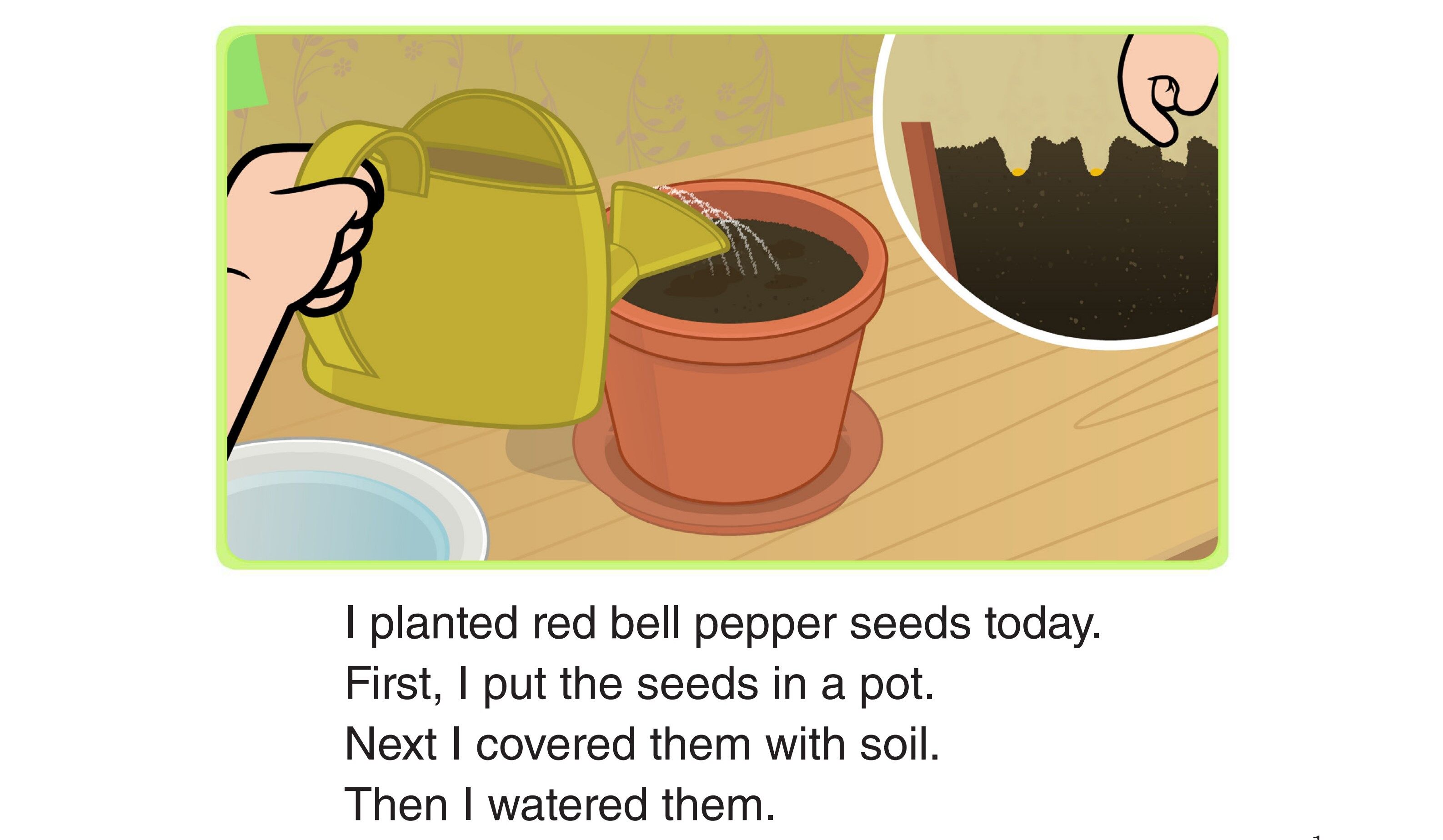 Growing Bell Peppers绘本故事第2页