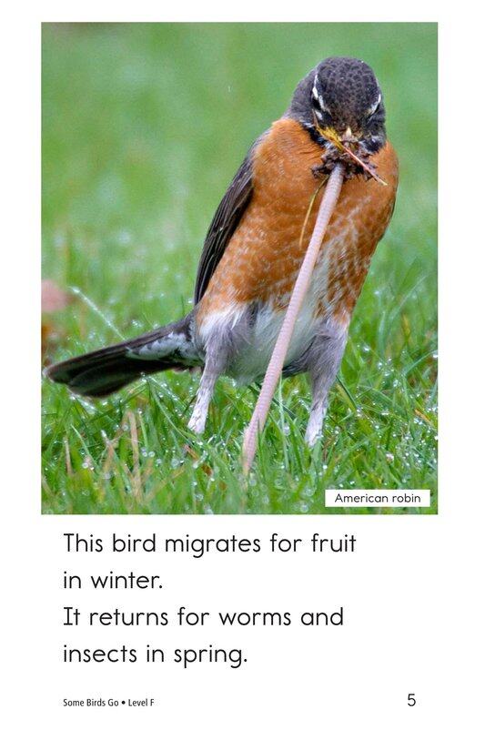 Some Birds Go绘本故事第5页