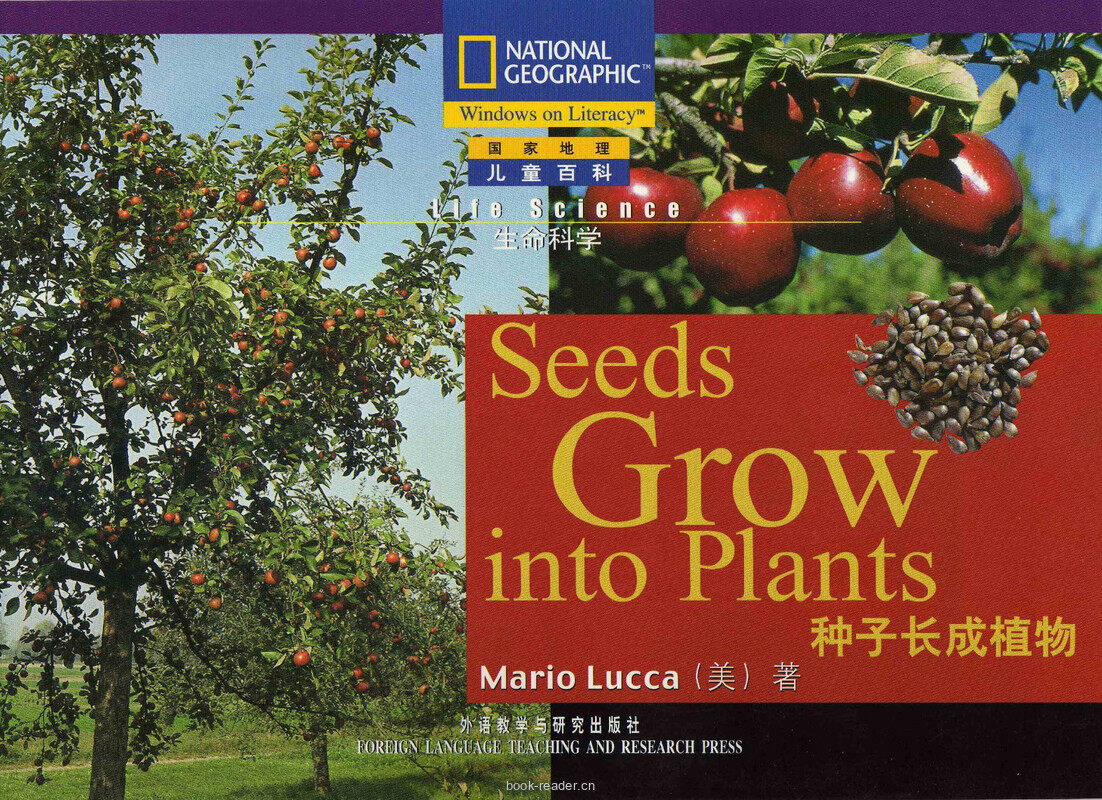 Seeds Grow into Plants绘本故事第2页
