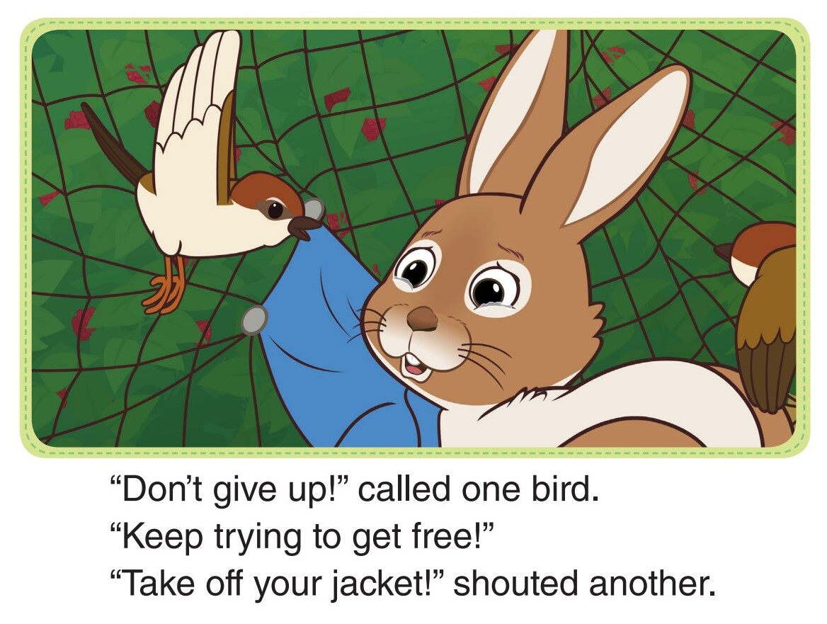 The Chase绘本故事第4页