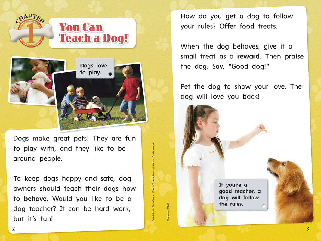 G1 Bey U4W5 Teach a Dog!绘本故事第4页