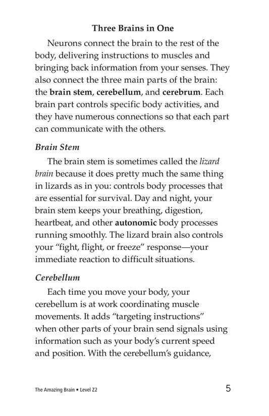 The Amazing Brain绘本故事第4页