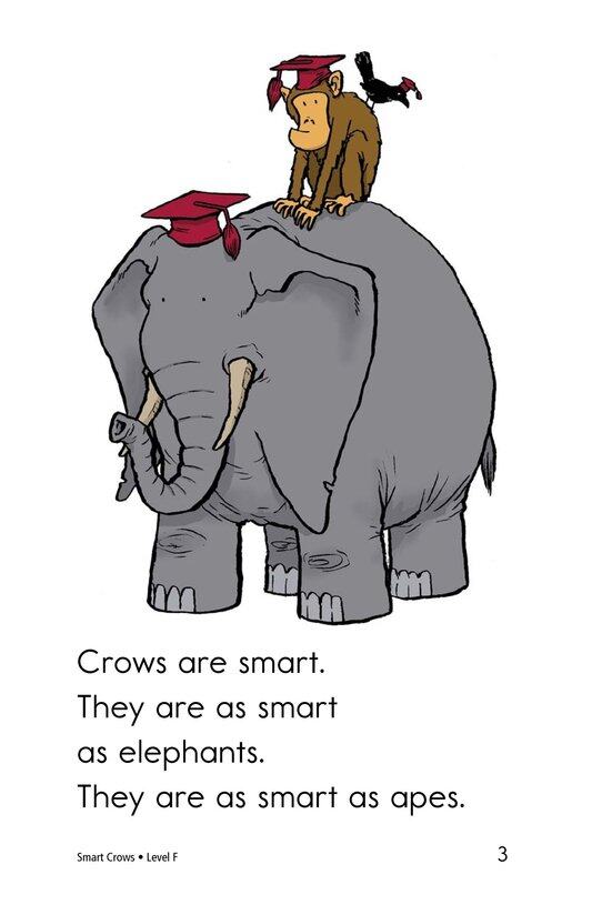 Smart Crows绘本故事第3页
