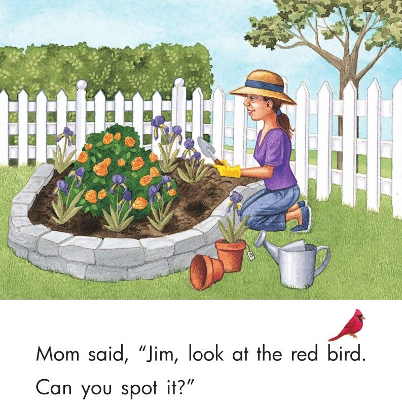 Look at the Red Bird绘本故事第4页