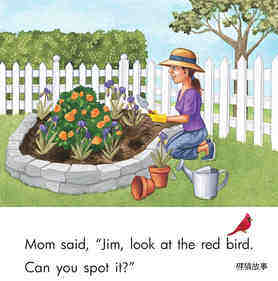 Look at the Red Bird绘本故事第4页