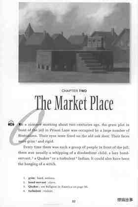 The Scarlet Letter绘本故事第5页