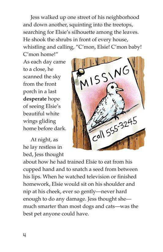 Many Happy Returns绘本故事第4页