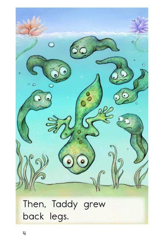 Tadpole Teasing绘本故事第4页
