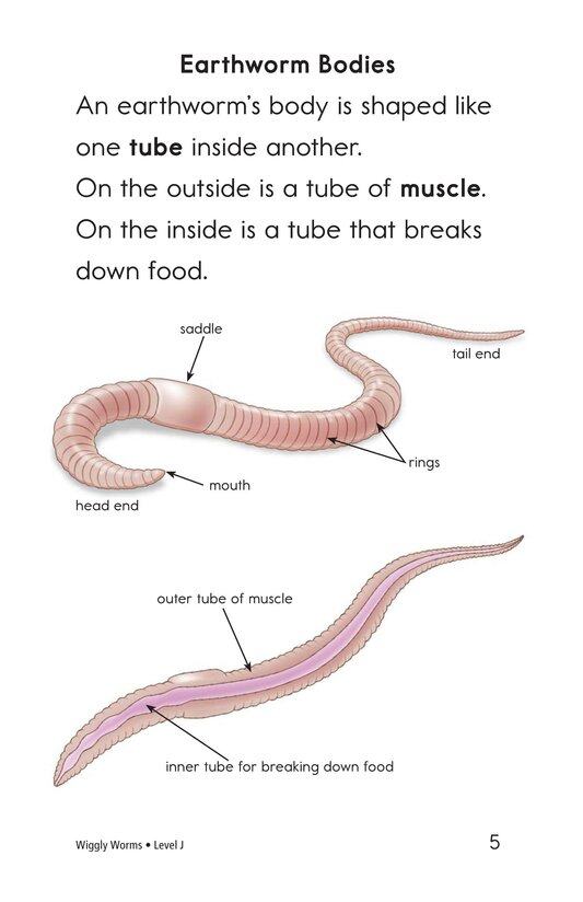 Wiggly Worms绘本故事第4页