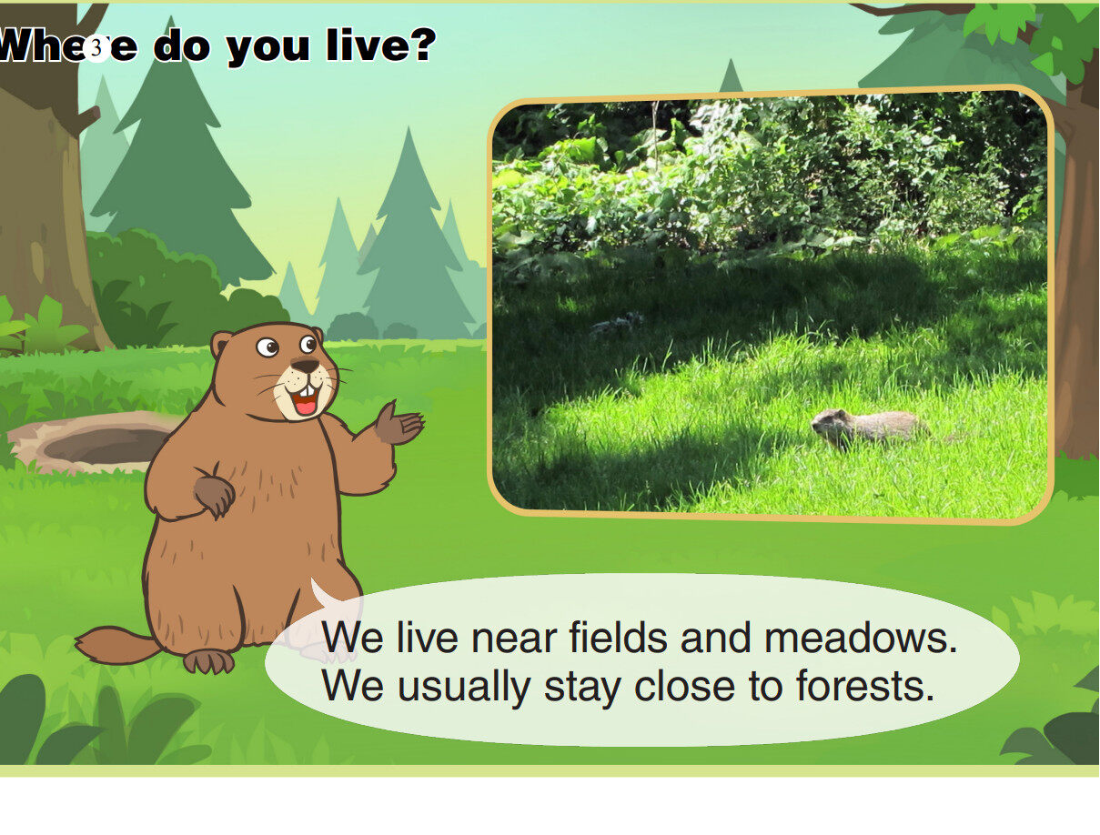 Groundhog绘本故事第4页