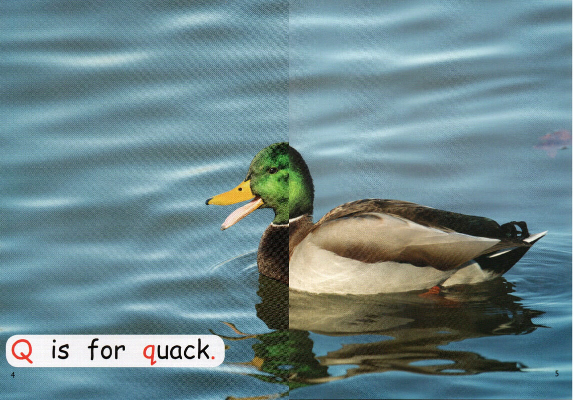 noisy animals绘本故事第4页