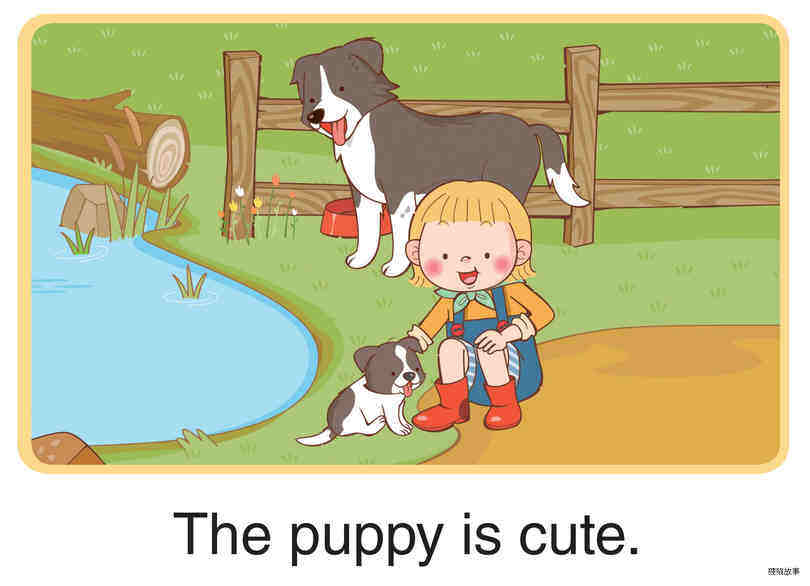 Cute!绘本故事第3页