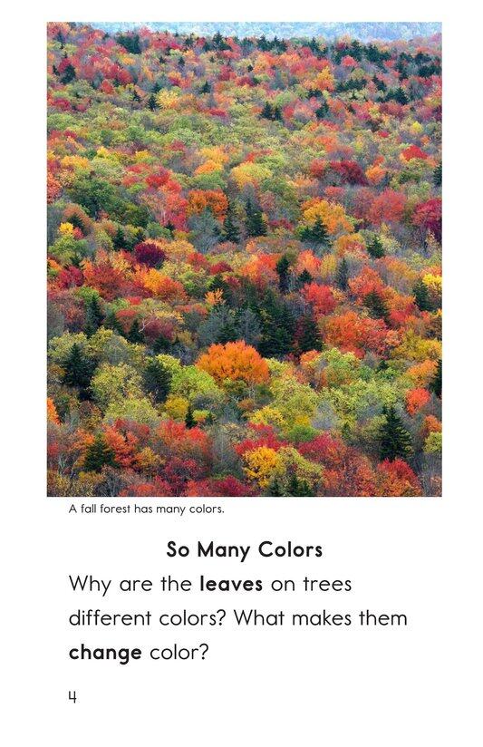 Why Do Leaves Change Color绘本故事第3页