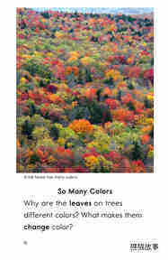 Why Do Leaves Change Color绘本故事第3页