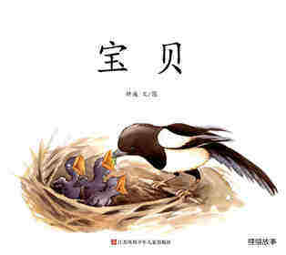 宝贝
