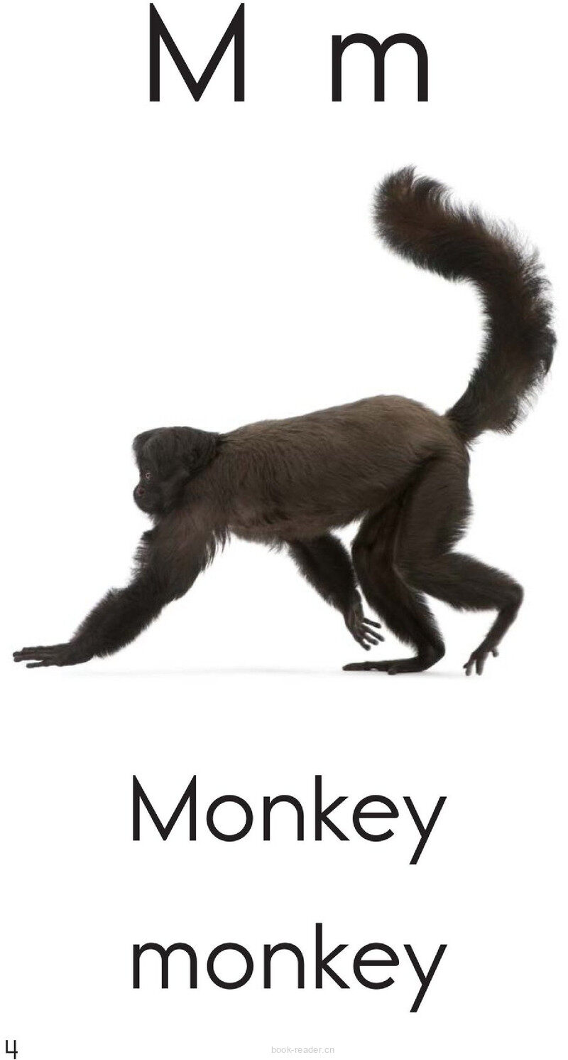 Letter M绘本故事第4页