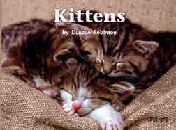Kittens绘本故事第2页
