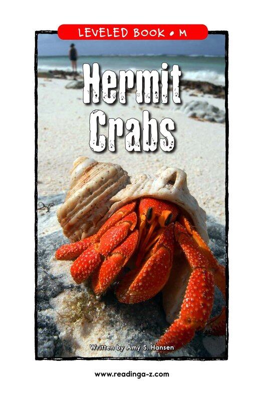 Hermit Crabs绘本故事第2页