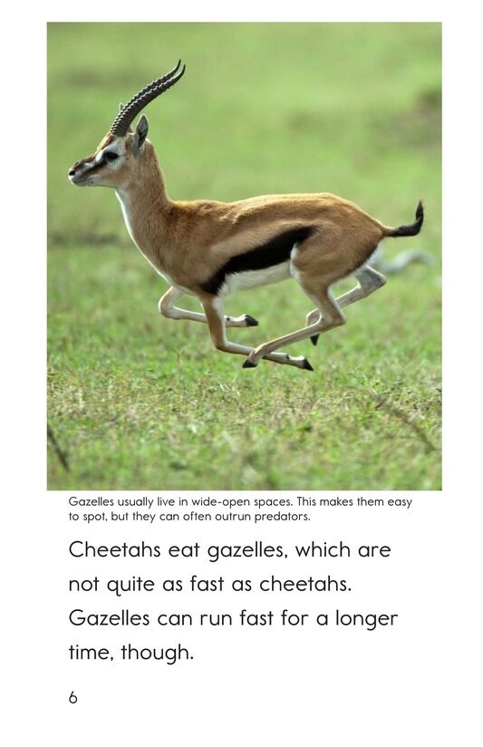 Fast and Faster绘本故事第5页