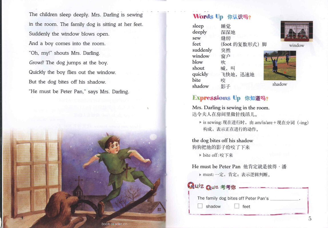 Peter Pan 彼得潘 绘本故事第4页