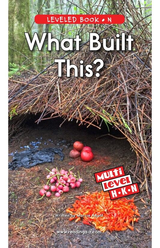 What Built This绘本故事第2页